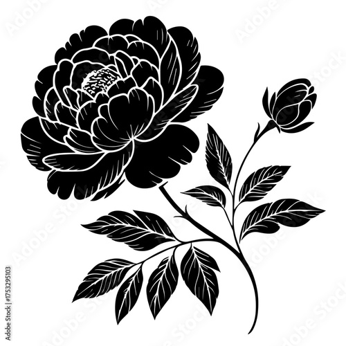 Elegant floral design with peony blossom and bud, perfect for invitations or sophisticated branding