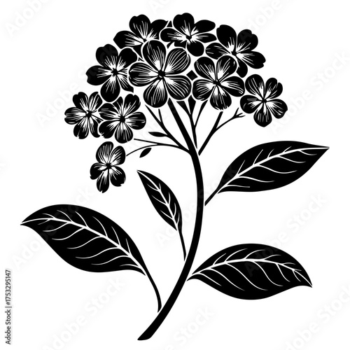 Elegant monochrome floral design element for sophisticated branding and stylish creative projects