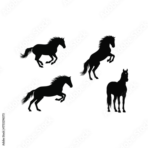 Four majestic horse silhouettes galloping rearing standing dynamic action animals wildlife vector