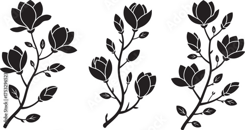 Black silhouette magnolia flowers and buds on white background floral blossom