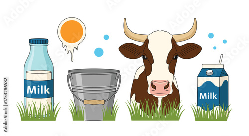 Fresh farm milk production from a healthy cow to your table.