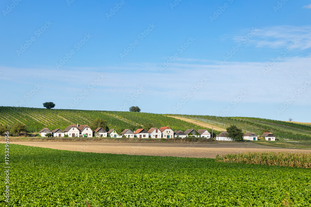 Naklejka premium Traditional cellar lane houses creating unique Lower Austria landscape