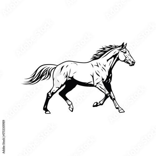 Majestic horse running gallop equine creature animal wildlife graceful power motion athletic vector
