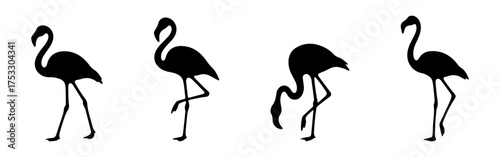 Flamingo icons set. Vector silhouettes of flamingo birds design.