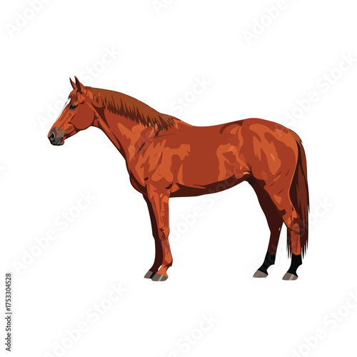 Majestic chestnut horse standing proudly elegant equine animal full body portrait isolated vector