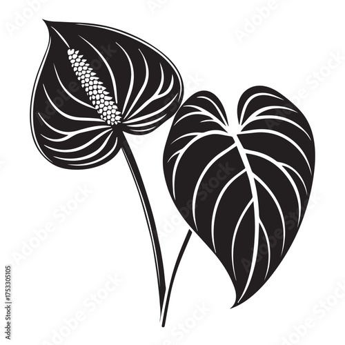 Elegant Anthurium botanical line art for modern design projects and sophisticated creative endeavors
