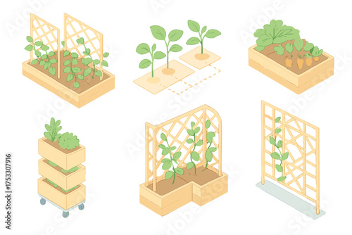Vertical Gardening Set. Isometric vector illustration set Vertical Gardening Layout: row of trellises in raised bed, vine spacing