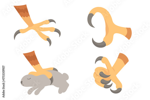 Talon Predator Capture. Isometric vector illustration set talons grip prey capture: hawk claws open, rabbit caught in grip, curved