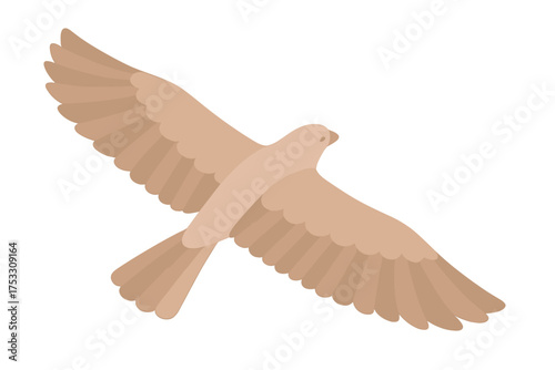 Soaring Hawk Silhouette. Isometric vector illustration set avian wing span soar: hawk wings open wide, feather arc arrangement,