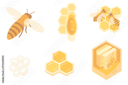 Queen Bee Hive. Isometric vector illustration set hive honey bee queen: queen bee elongated body, royal chamber wax cells, worker