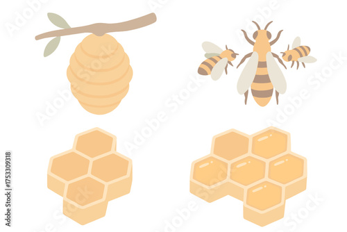 Hive and Queen Bee. Isometric vector illustration set hive honey bee queen: wild hive hanging branch, queen bee with workers,