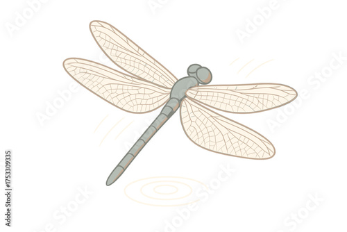 Dragonfly Hovering Gracefully. Isometric vector illustration set dragonfly wing agile hover: dragonfly mid-air hover, four wing