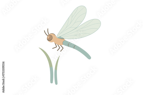Dragonfly Wing Elegance. Isometric vector illustration set dragonfly wing agile hover: dragonfly hovering close-up, delicate