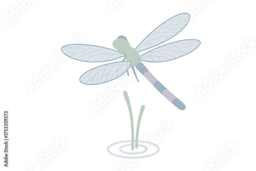 Dragonfly Wing Elegance. Isometric vector illustration set dragonfly wing agile hover: dragonfly hovering close-up, delicate