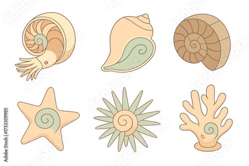 Fibonacci Sea Spirals. Isometric vector illustration set Fibonacci in shells & sea: chambered nautilus cutaway, conch shell spiral