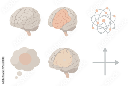 Pastel Brain Anatomy Icons. Isometric vector illustration set Human Brain Anatomy: 3D brain hemisphere model, highlighted frontal