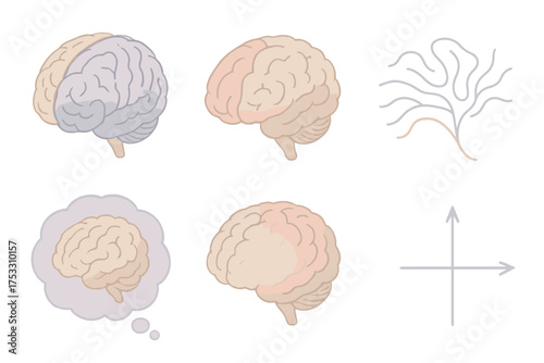 Pastel Brain Anatomy Icons. Isometric vector illustration set Human Brain Anatomy: 3D brain hemisphere model, highlighted frontal