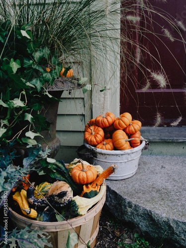 Ornamental gourds as Thanksgiving decoration on door step, orange decorative squash in vintage bucket in front of front door of American house, traditional fall or autumn harvest pumpkin decoration