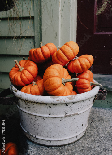 Ornamental gourds as Thanksgiving decoration on door step, orange decorative pumpkins in vintage bucket in front of front door of American house, traditional fall or autumn harvest pumpkin decoration