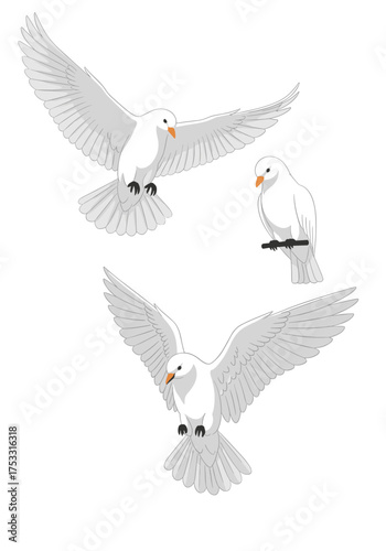 Three white doves in flight and perched symbolizing peace and serenity.