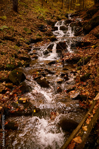 Water flows over rocks in a tranquil stream surrounded by autumn foliage in a serene forest setting. Autumn hiking in Carpathian Mountains, Ukraine