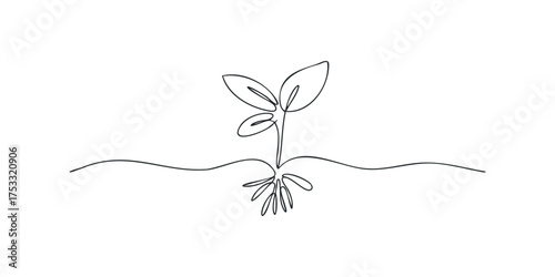 Single continuous line drawing of a growing seedling with roots