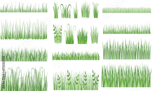 A Collection of Diverse Green Grass Border, Illustrating Various Styles of Lush Lawn and Field Elements for Your Design Needs
