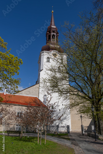 Saint Mary Cathedral In Tallinn