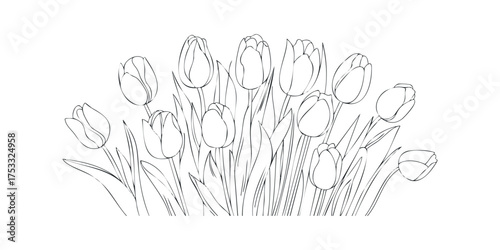 Line drawing of a cluster of tulips
