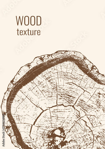 Poster with tree growth rings. Tree trunk in section. Design for greeting card, cover, menu, flyer. Place for text. Vector image.