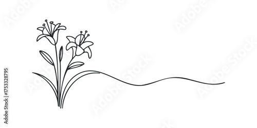 Stylized Lily Flower Line Art with Flowing Stem
