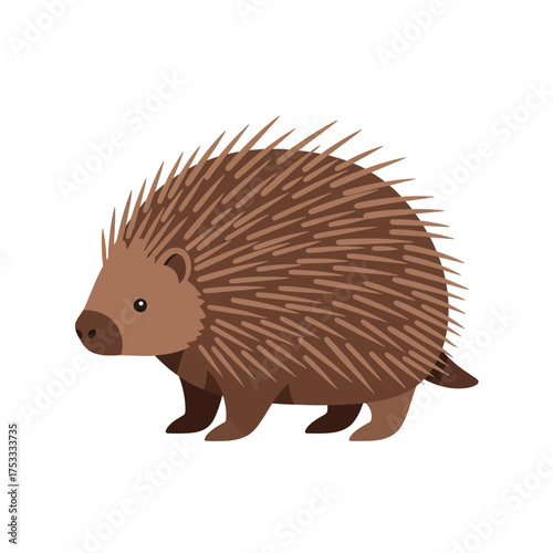 Cute Echidna Vector Illustration, Australian Wildlife Animal