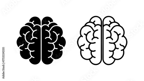 Brain anatomy outline with transparent background