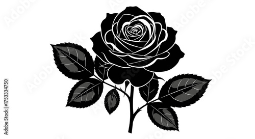 A black rose illustration with leaves, depicted in a graphic, stylized manner against a white background.