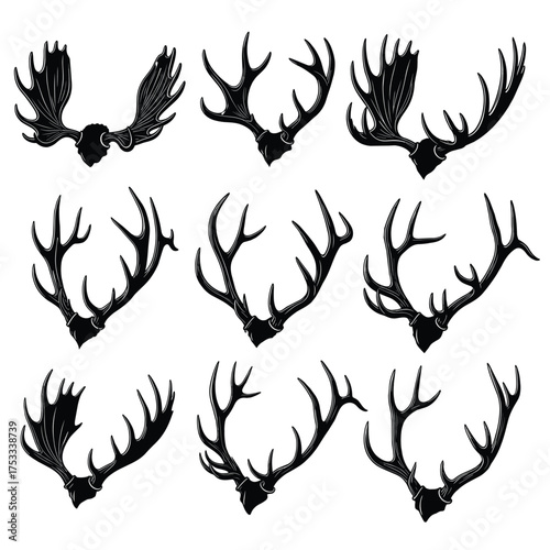 Nine Variations of Wild Animal Antlers and Horns Silhouette Set. Deer, Moose, and Elk Hunting Trophies for Logo or Rustic Design