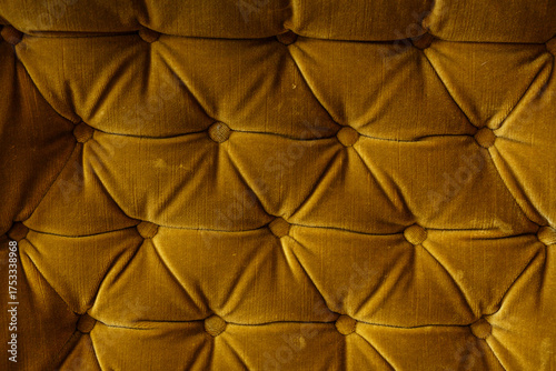 Close-up of a mustard yello...