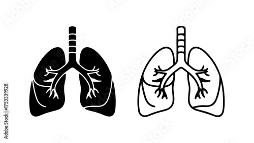 Human lungs anatomy with transparent background