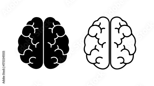 Brain anatomy outline with transparent background