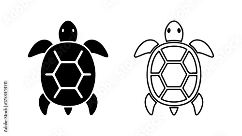 Turtle icons with outline and solid fill with transparent background