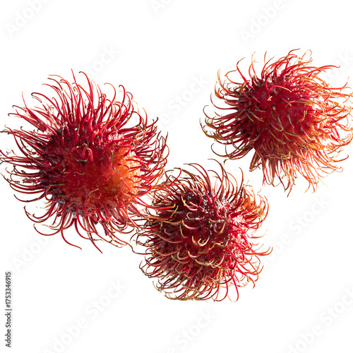 Exotic rambutan fruit close-up: vibrant red, spiky texture, and tropical appeal for healthy eating promotions and unique food concepts for advertising and marketing