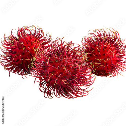 Exotic rambutan fruit trio gleaming with freshness, a vibrant tropical treat ready to be enjoyed, promising a burst of sweet and tangy flavor