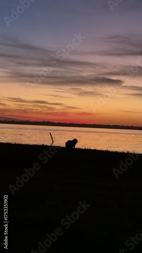Sunset by a riverbank with the silhouette of a capybara on the water's edge.