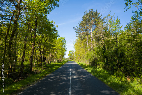 This landscape photo was taken in Europe, France, Centre Val de Loire, Loiret, Dampierre en Burly, in summer. It shows the country road in Dampierre en Burly, under the Sun.