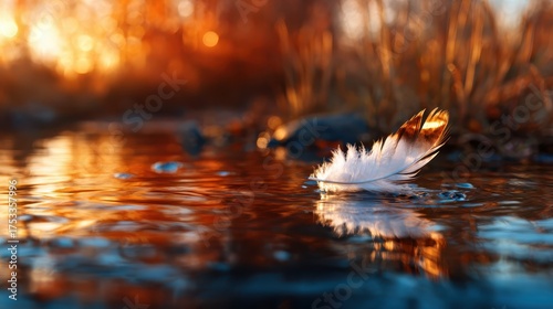 A serene close-up of a feather drifting on a reflective water surface illuminated by golden sunlight, symbolizing fleeting beauty and nature’s softness.