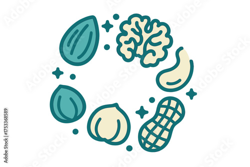 Assorted nuts arranged in a circular pattern including walnut, almond, cashew, hazelnut, and peanut