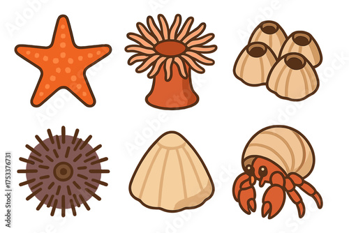 Collection of cute cartoon sea creatures and shells icons
