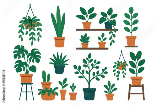 Collection of various potted houseplants in terracotta and dark blue containers