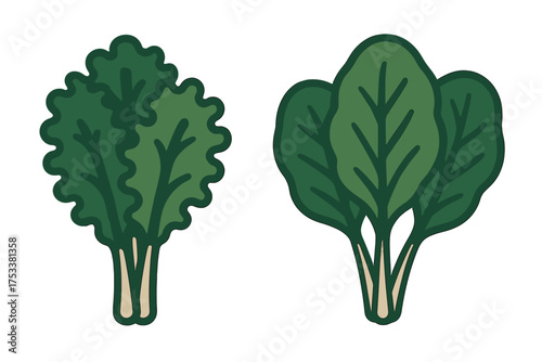 Assortment of fresh leafy green vegetables like kale and spinach
