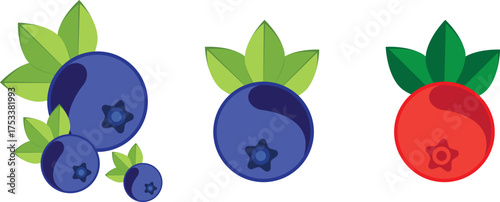 Blueberry  and red berry fruit with green leaves icon set. sweet berry sign business concept vector illustration design