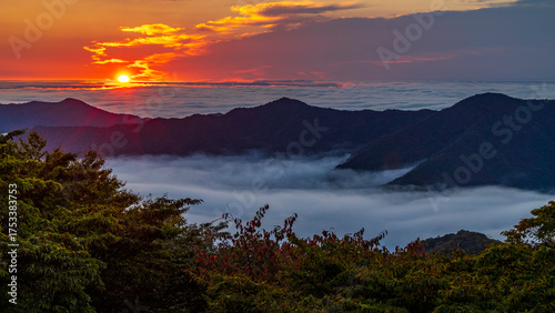 日光　いろは坂　明智平から見る日の出と雲海　絶景